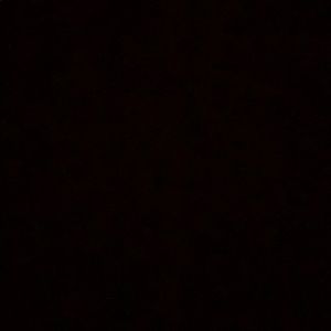 Meet your Posher, Nina